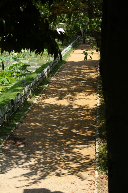 e0039744_2043828.jpg