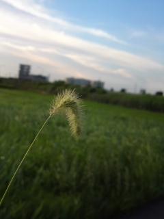 f0201745_0105745.jpg