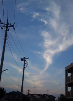 f0201745_011267.jpg