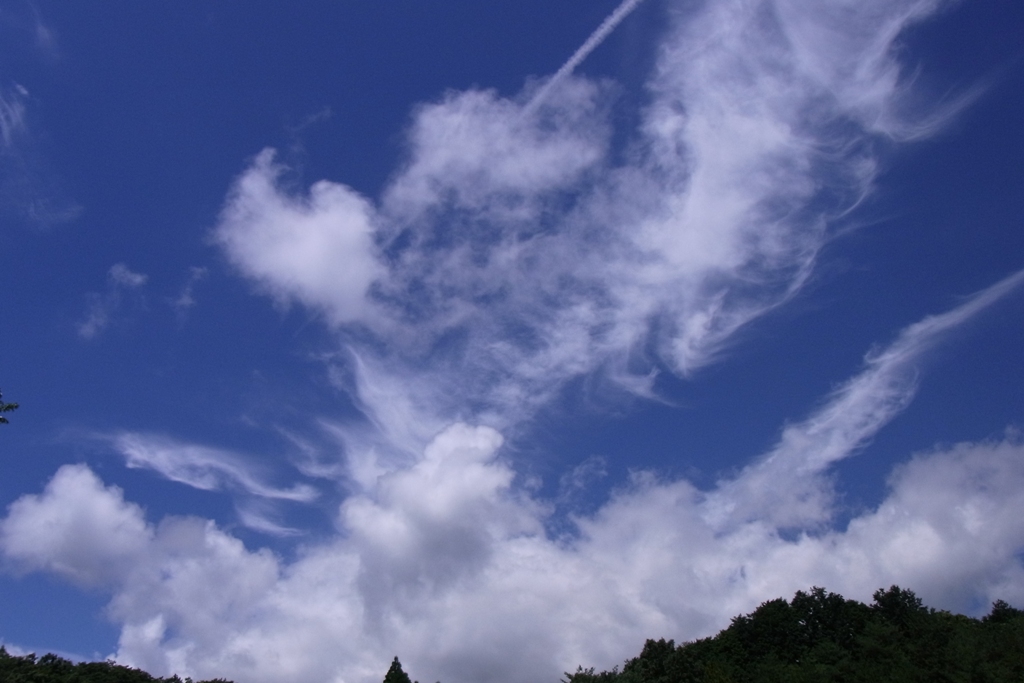 c0067646_433511.jpg