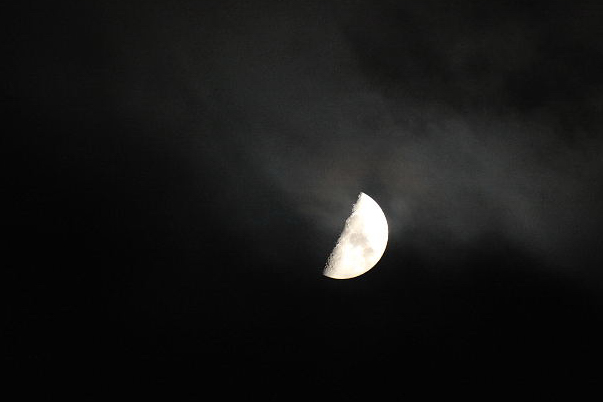 e0138546_206615.jpg