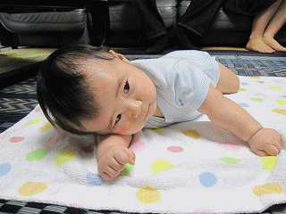 d0031853_3463897.gif