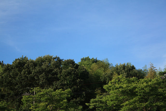 f0108553_202222.jpg