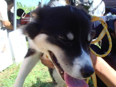 f0046854_1515099.jpg