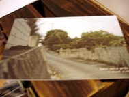 d0029958_20483252.jpg
