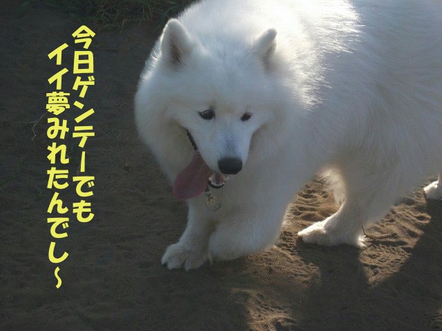 e0176159_15374515.jpg