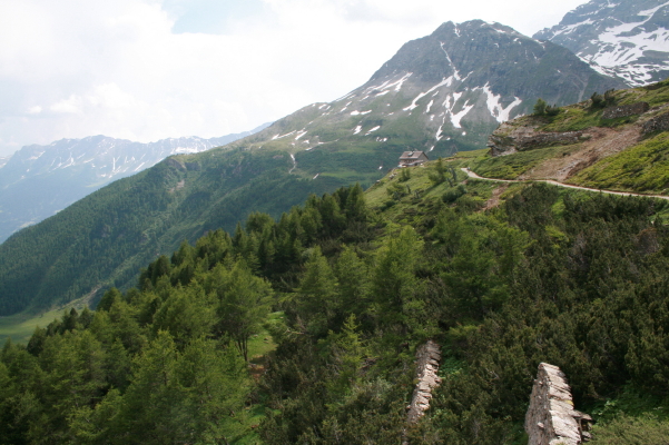 f0077159_21164640.jpg