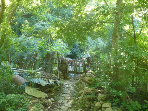 a0063364_1443416.jpg