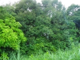 f0055264_0371798.jpg