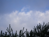 f0055264_0372610.jpg