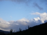 f0055264_037644.jpg