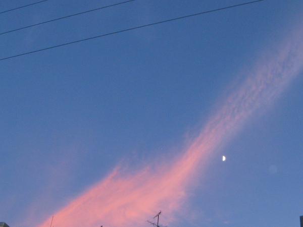 a0143465_0385145.jpg