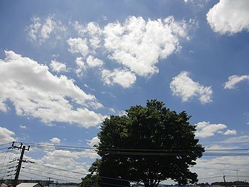 f0196665_0375918.jpg