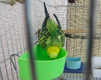 f0196665_0532468.jpg