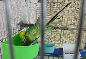 f0196665_0543835.jpg