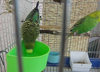 f0196665_0571648.jpg