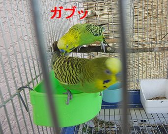 f0196665_0593953.jpg