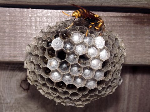 b0130166_21341218.jpg