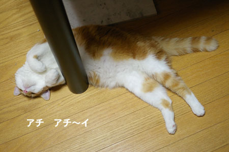 a0064067_1225840.jpg