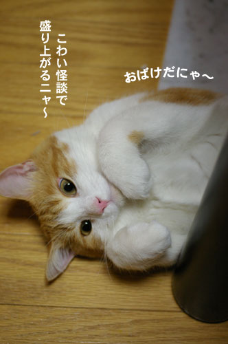 a0064067_123743.jpg