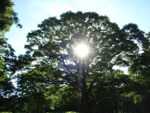 a0163270_1551275.jpg