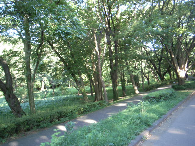 a0163270_15533195.jpg