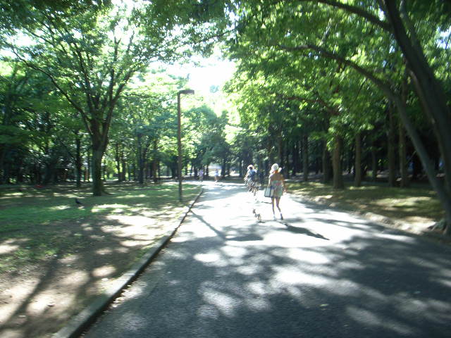 a0163270_15534045.jpg