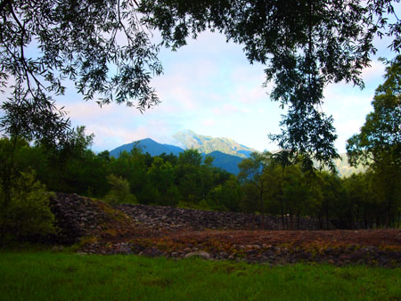 c0122670_21301823.jpg