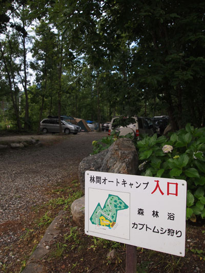 c0122670_21325998.jpg