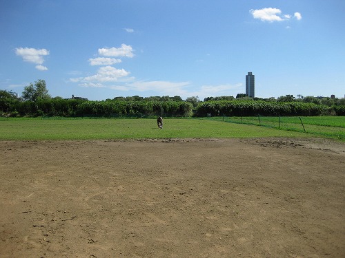 d0082970_0403213.jpg