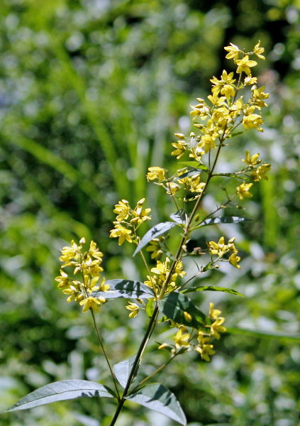 f0181173_23302570.jpg