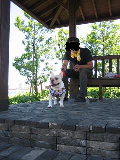 c0174077_18352947.jpg