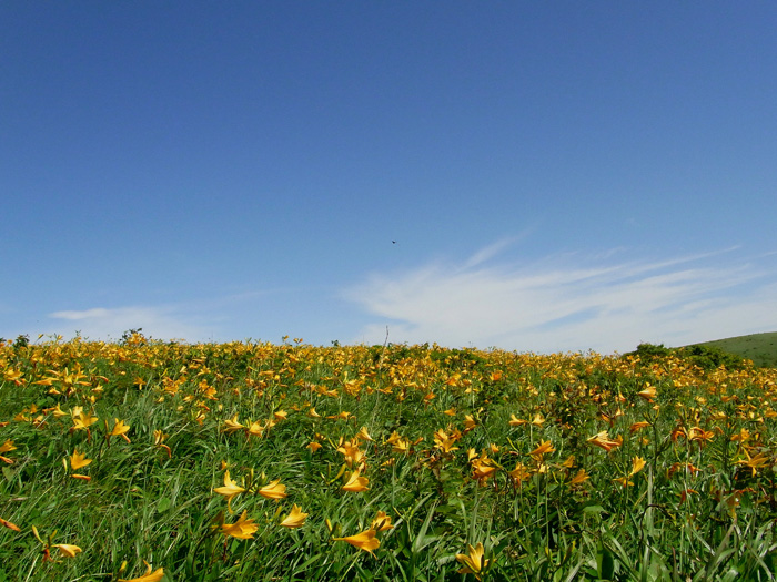 c0008378_2155339.jpg