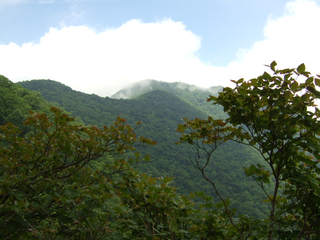 a0094280_16574280.jpg