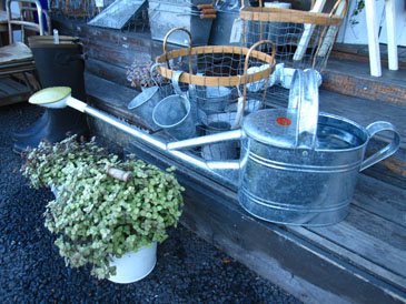 c0146487_1719272.jpg