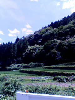 a0148589_21534326.jpg
