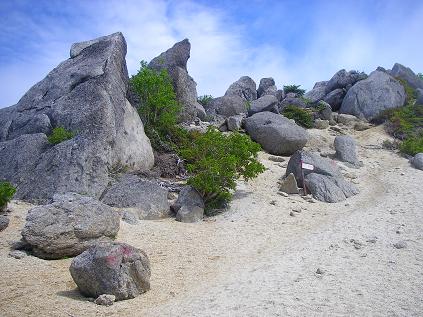 f0202990_2258797.jpg