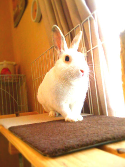 f0201191_22131132.jpg
