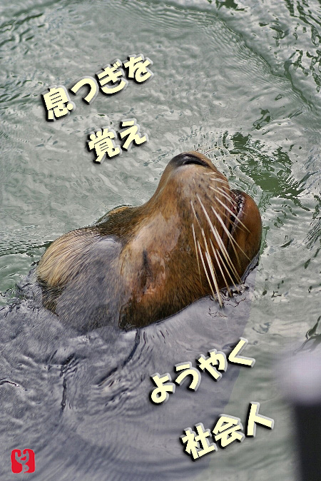 c0186592_103017.jpg