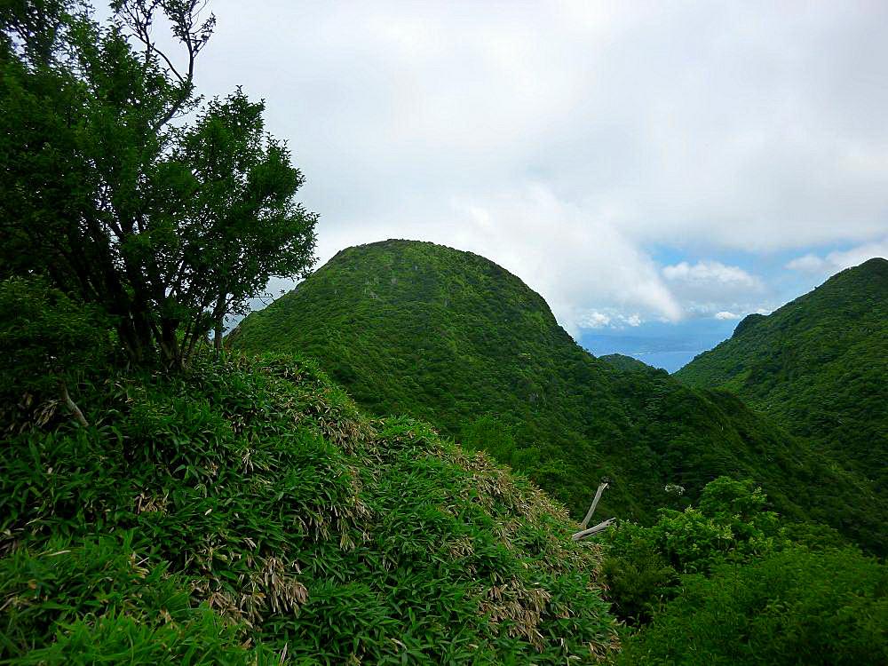 b0177493_22141575.jpg