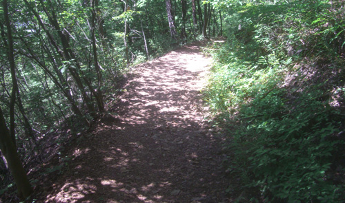 b0099994_6315440.jpg