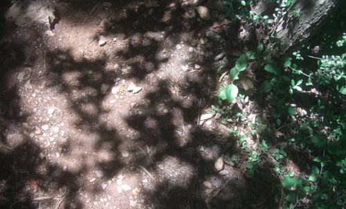 b0099994_6322939.jpg