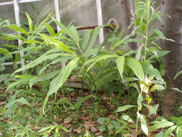 f0130894_20373595.jpg