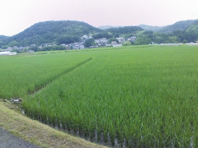 d0055397_4521410.jpg