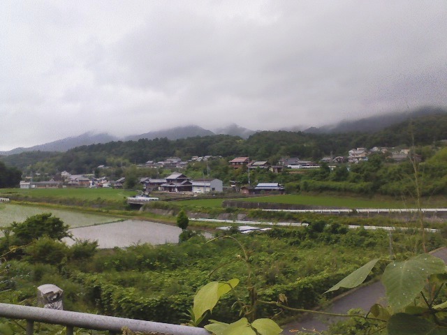 d0055397_4535333.jpg