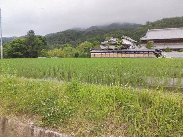 d0055397_453962.jpg