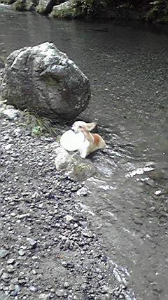 f0077097_23363152.jpg