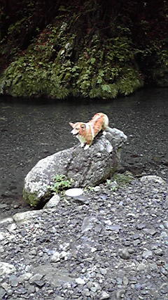 f0077097_23382410.jpg