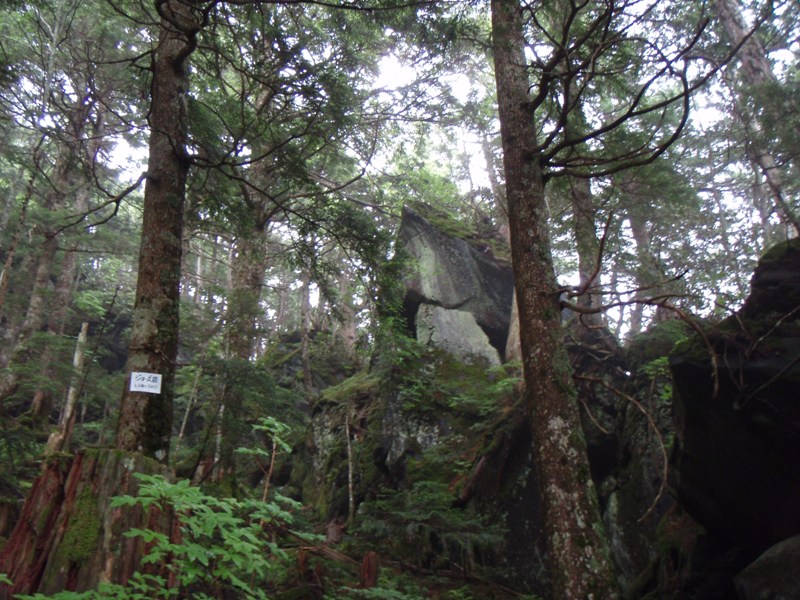 b0039898_22153189.jpg