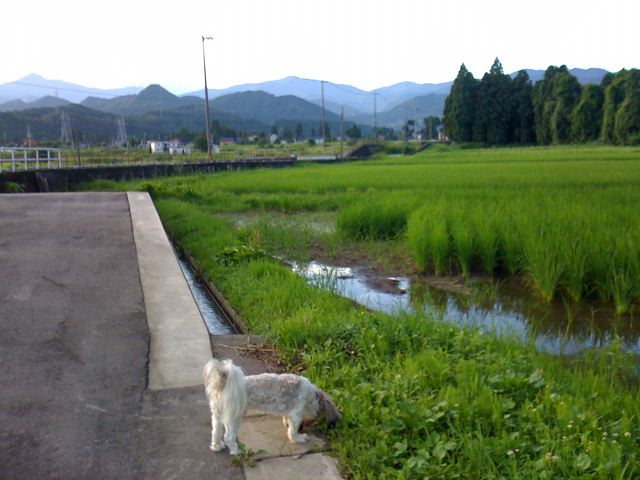 a0169501_2101897.jpg